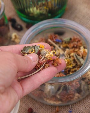 Module 3 - Consultation